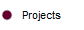 Projects